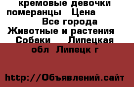 кремовые девочки померанцы › Цена ­ 30 000 - Все города Животные и растения » Собаки   . Липецкая обл.,Липецк г.